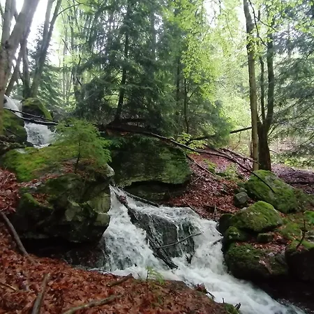 La Fortance Paradis Naturel - Proche De La