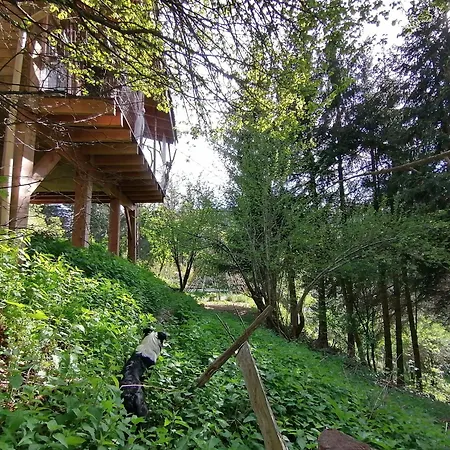 La Fortance Paradis Naturel - Proche De La Planfoy