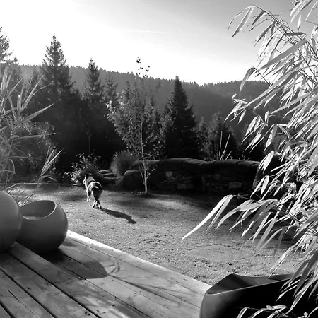 Bed & Breakfast Du Pilat