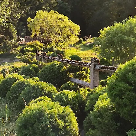 Bed & Breakfast Du Pilat Planfoy