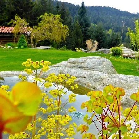 Bed & Breakfast La Fortance Paradis Naturel - Proche De La